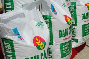 DCM: PVN đăng ký bán 13 triệu cổ phiếu