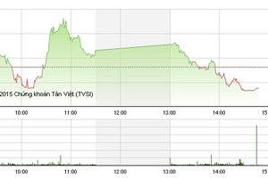 Phiên giao dịch chiều 11/11: Nhạt nhòa
