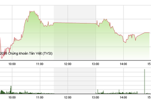 Phiên giao dịch chiều: Tiền rút khỏi cổ phiếu đầu cơ