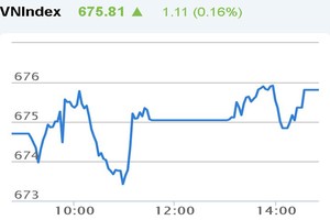Phiên chiều 5/1: Tiếp tục rung lắc