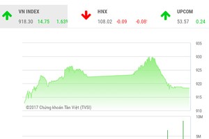 Phiên chiều 21/11: Bị chốt lời mạnh, VN-Index “đánh rơi” mất hơn 11 điểm