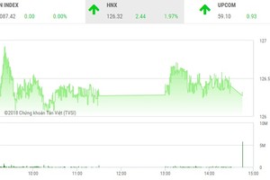 Phiên chiều 23/1: HNX thăng hoa trong ngày HOSE “chết máy“