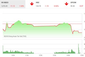 Phiên chiều 22/2: Lực bán áp đảo, VN-Index mất hơn 11 điểm