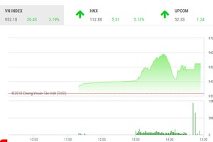 Phiên chiều 29/5: Sắc tím ngập tràn, VN-Index tăng hơn 20 điểm