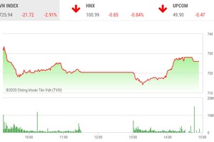 Phiên chiều 19/3: Cổ phiếu nóng bị chốt lời, VN-Index lùi về vùng 725 điểm