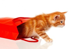 Vàng tuần 29/9 - 3/10: “Mèo ra khỏi túi“