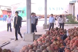 Vietnam Holding đã nắm trên 8% cổ phần Nafoods