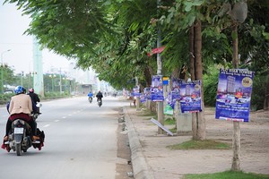 Quảng cáo các dự án bất động sản được dán ở mọi gốc cây trên đường Tố Hữu, Hà Đông, Hà Nội