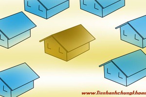 Cuộc chiến “đất vàng”