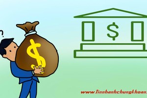 Đối tác ngoại đã làm được gì cho ngân hàng nội?