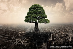 Sự kiện chứng khoán đáng chú ý ngày 16/12