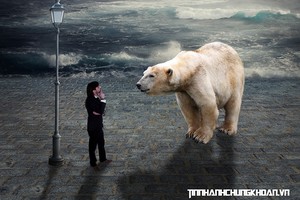 Cổ đông thắc mắc chuyện Ngân hàng Nhà nước can thiệp cổ tức ngân hàng