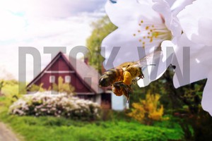 Nhận định thị trường phiên 6/7: Rủi ro tiếp tục điều chỉnh được đánh giá ở mức cao