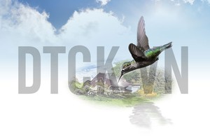 Top 10 cổ phiếu tăng/giảm mạnh nhất tuần cuối năm qua: Nhóm dầu khí, ngân hàng là gánh nặng