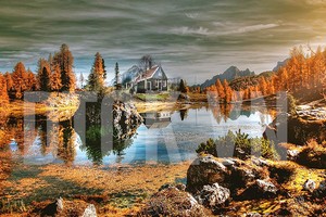 Top 10 cổ phiếu tăng/giảm mạnh nhất tuần: Nhiều cổ phiếu ngược dòng