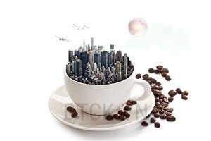 Nhận định thị trường phiên 24/10: Nhiều mã trong nhóm vận tải - cảng biển đang về vùng hỗ trợ