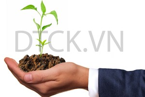 Góc nhìn kỹ thuật phiên 28/2: Giằng co, đi ngang trong vùng 980-996 điểm