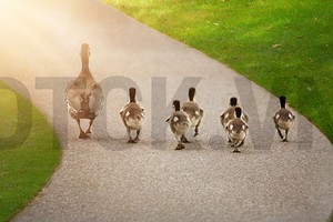 Góc nhìn kỹ thuật phiên 20/2: Chỉ số có thể bước vào nhịp điều chỉnh ngắn 