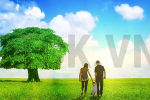 Bảo hiểm xã hội, chỉ nên quy định mức đóng tối thiểu