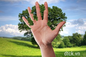 Nhận định thị trường phiên 12/7: Nhiều mã đã về vùng giá hấp dẫn trong ngắn hạn