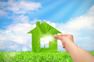 Năm Dần - kỳ vọng "hổ về rừng"