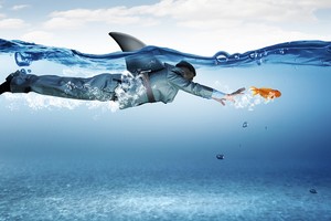 Nhận định thị trường phiên giao dịch chứng khoán ngày 26/3: Tạm thời hạn chế giải ngân mới