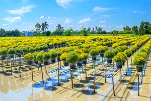 Thúc đẩy chuyển đổi sang kinh tế tuần hoàn cần nâng cao nhận thức và hoàn thiện chính sách