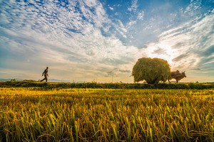 Sự kiện chứng khoán đáng chú ý ngày 16/7