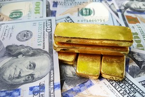 Lượng tiền mặt trên thị trường tiền tệ đã tăng thêm 1.000 tỷ USD trong 8 tuần qua. Ảnh: Shutterstock