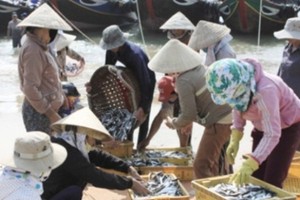 ATA kháng cáo vụ chống bán phá giá tại Mỹ