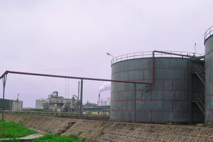 CSV: 6 tháng hoàn thành gần 73% kế hoạch lợi nhuận năm