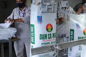 Đạm Cà Mau đạt 882 tỷ đồng lợi nhuận sau thuế hợp nhất