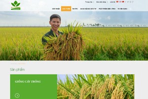 PAN chào mua công khai hơn 1,857 triệu cổ phiếu NSC