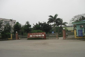 NST ước thiệt hại 317,2 tỷ đồng trong vụ hỏa hoạn tối 19/8