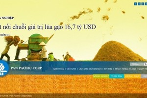 PAN chuẩn bị chào bán hơn 16,6 triệu cổ phiếu giá rẻ