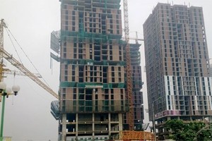 STL: Kinh doanh thua lỗ, nợ thuế chồng chất