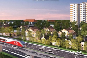 TDH sắp phát hành gần 21 triệu cổ phần