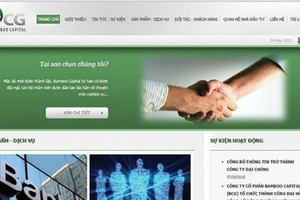 40,7 triệu cổ phiếu BCG sẽ chào sàn HOSE từ ngày 16/7