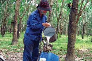 Năm 2013, PHR ước đạt 128% kế hoạch lợi nhuận