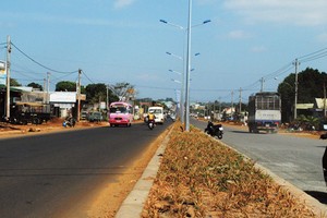 Sức xuân trên đường Hồ Chí Minh Tây Nguyên