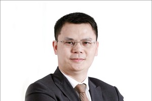 TIG: “khỏe” dần để “mạnh” lên từ năm 2014