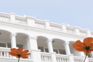 Nắng Xuân trong giá lạnh