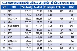 Bức tranh toàn cảnh CTCK năm 2013 - kỳ 2: Phân hóa mạnh