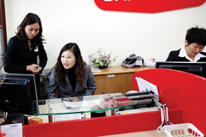 Doanh nghiệp bảo hiểm oằn mình tìm cách đầu tư