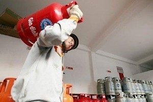 MTG, năm 2013 lãi 4,7 tỷ đồng