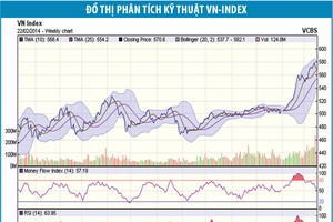 Sau giao dịch khủng, sự phân hóa bắt đầu