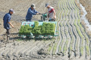 Lãi suất cho vay đối với tín dụng nông nghiệp hiện nay không quá 9%/năm