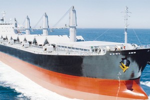 Bảo hiểm thân tàu và tai nạn dân sự chủ tàu nhiều năm liên tiếp bồi thường lớn hơn doanh thu