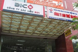 BIC sẽ “chốt” cổ đông chiến lược trong năm 2014