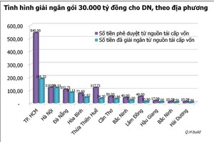 Điểm danh những dự án đã vay gói 30.000 tỷ đồng